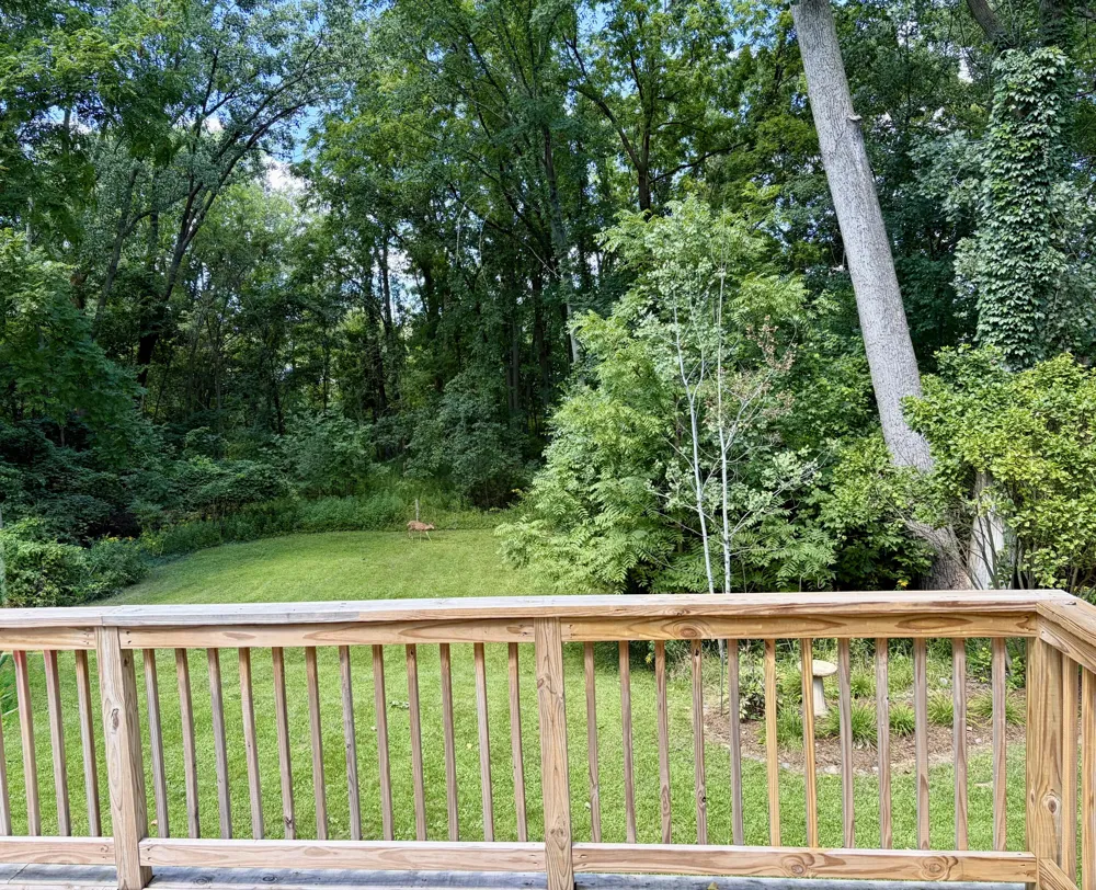 1881 Sunny Creek Street SE Kentwood, MI 49508