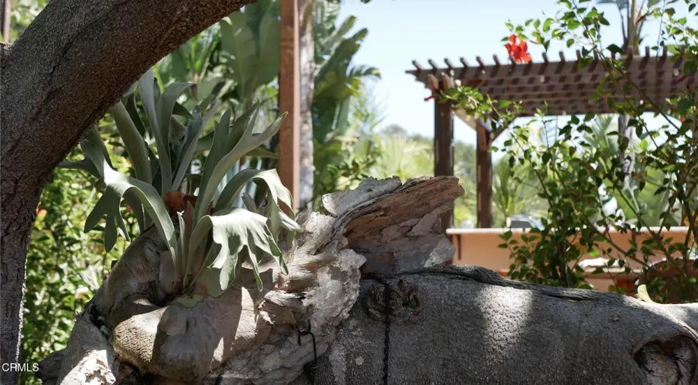 1428 Manitou Road Santa Barbara, CA 93105