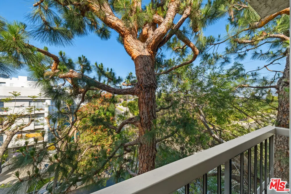 1440 VETERAN AVENUE #554 Los Angeles, CA 90024