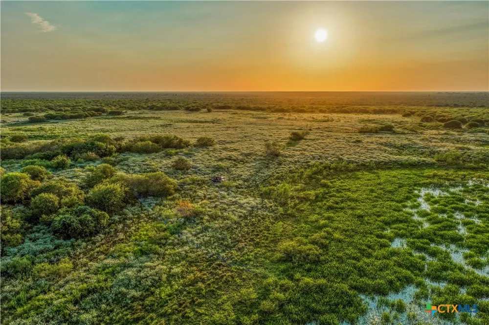 FM 239 Tivoli, TX 77990
