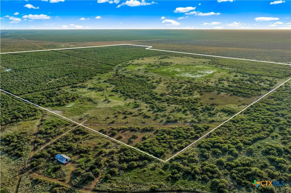 FM 239 Tivoli, TX 77990