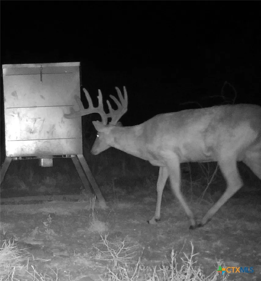 FM 239 Tivoli, TX 77990