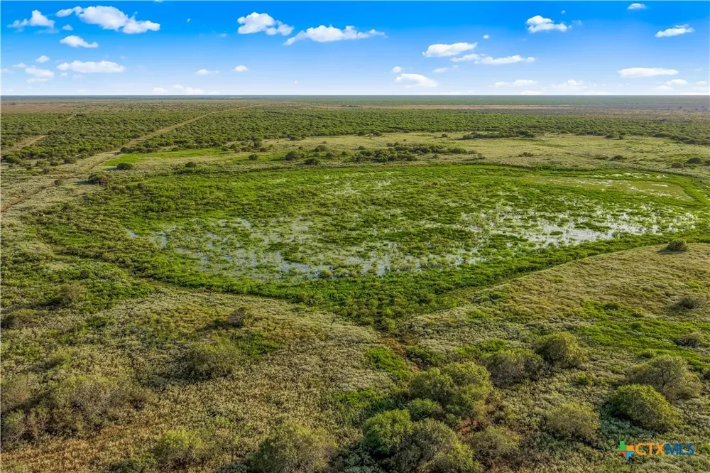 FM 239 Tivoli, TX 77990