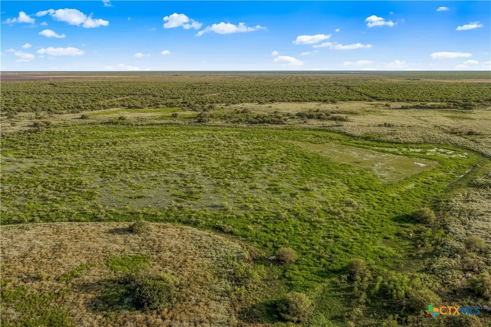 FM 239 Tivoli, TX 77990