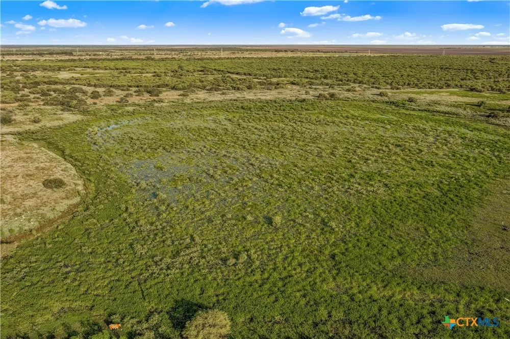 FM 239 Tivoli, TX 77990
