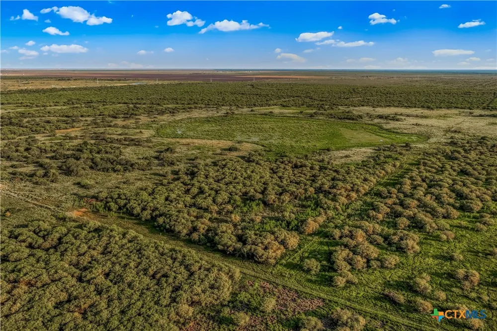 FM 239 Tivoli, TX 77990