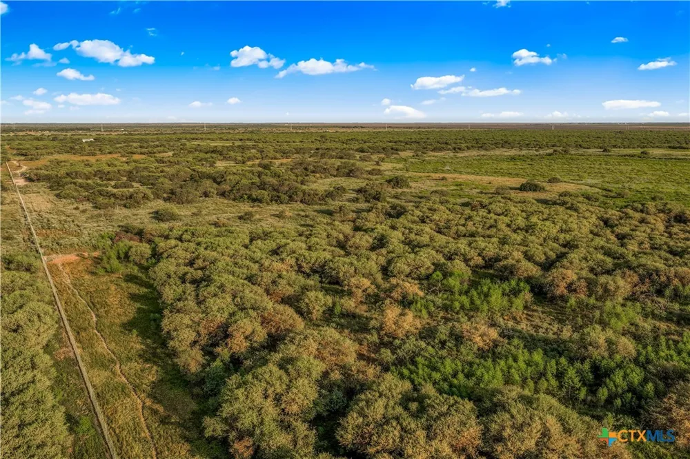 FM 239 Tivoli, TX 77990