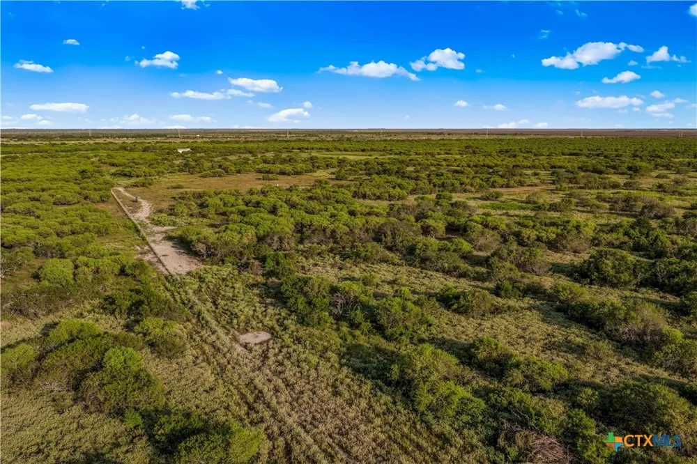 FM 239 Tivoli, TX 77990