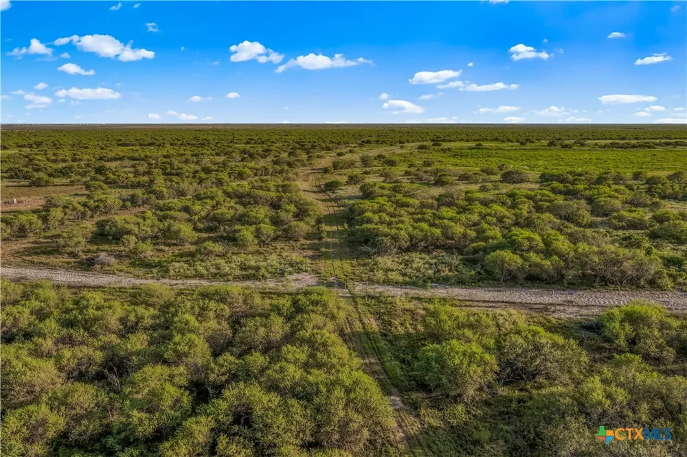 FM 239 Tivoli, TX 77990
