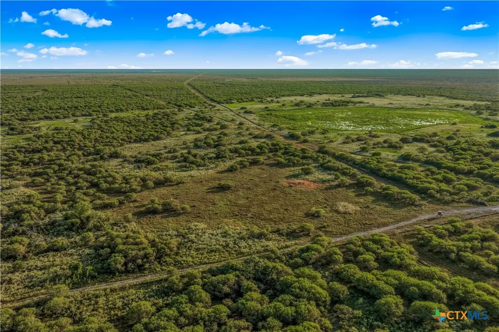 FM 239 Tivoli, TX 77990
