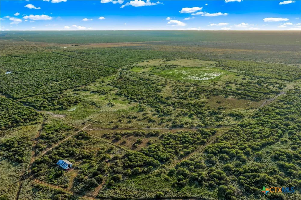 FM 239 Tivoli, TX 77990