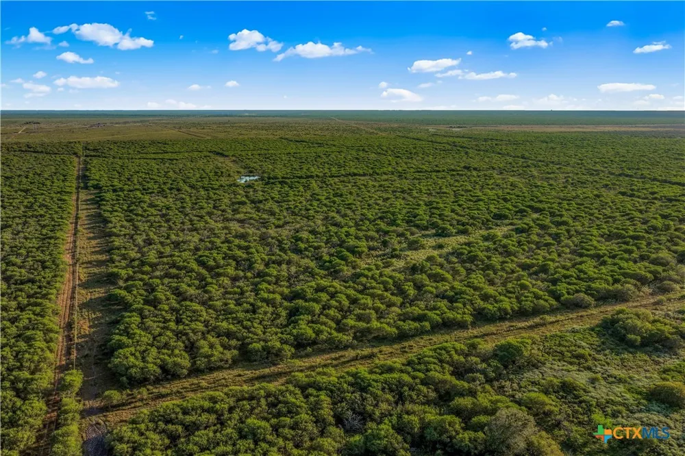 FM 239 Tivoli, TX 77990