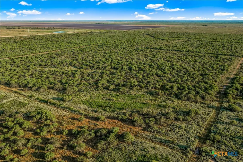 FM 239 Tivoli, TX 77990
