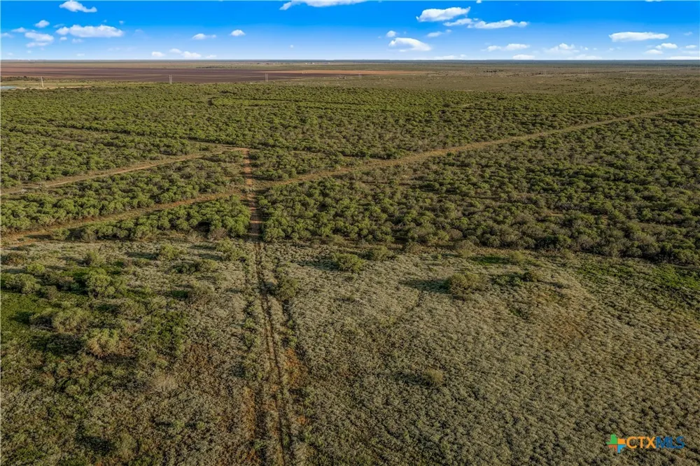 FM 239 Tivoli, TX 77990
