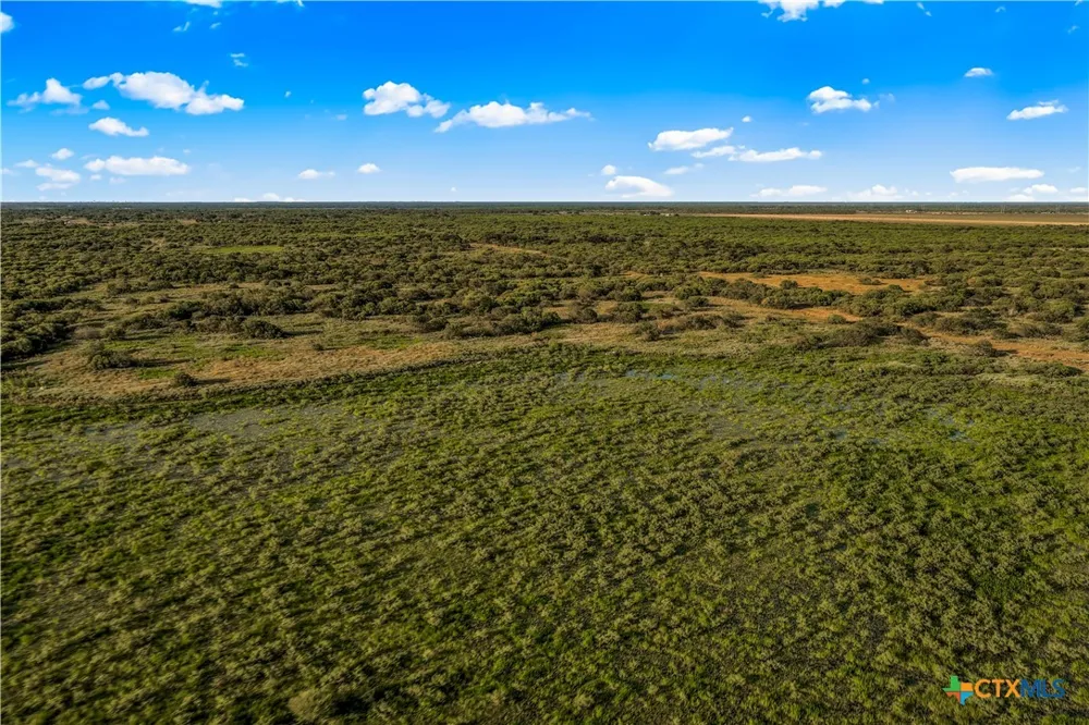 FM 239 Tivoli, TX 77990
