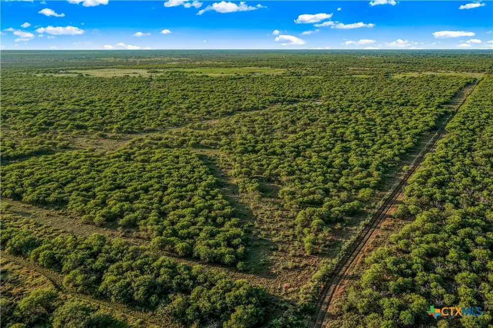 FM 239 Tivoli, TX 77990