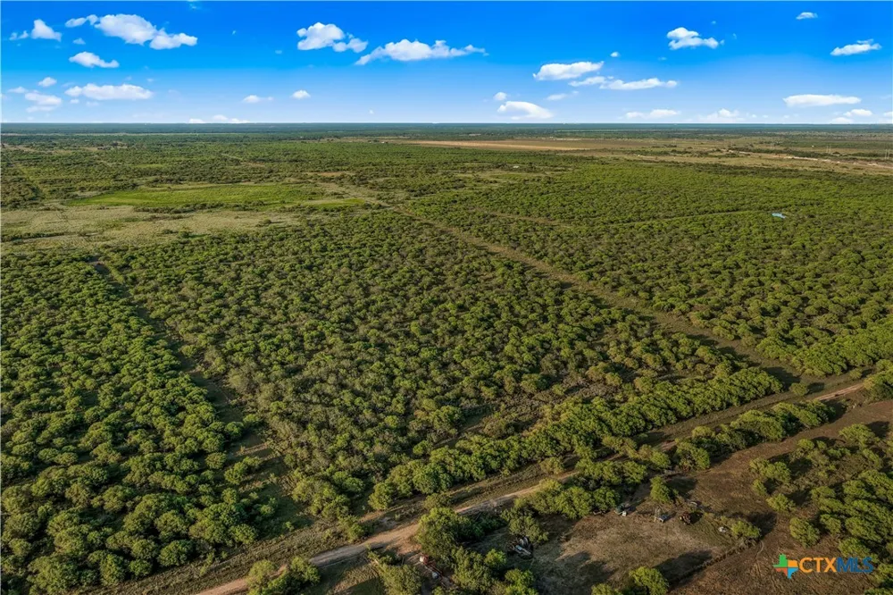 FM 239 Tivoli, TX 77990