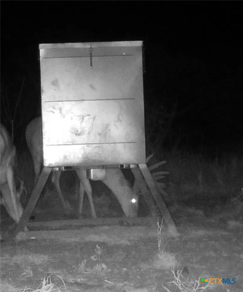 FM 239 Tivoli, TX 77990