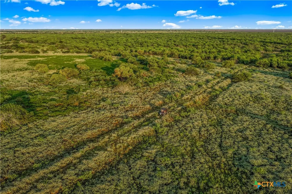 FM 239 Tivoli, TX 77990