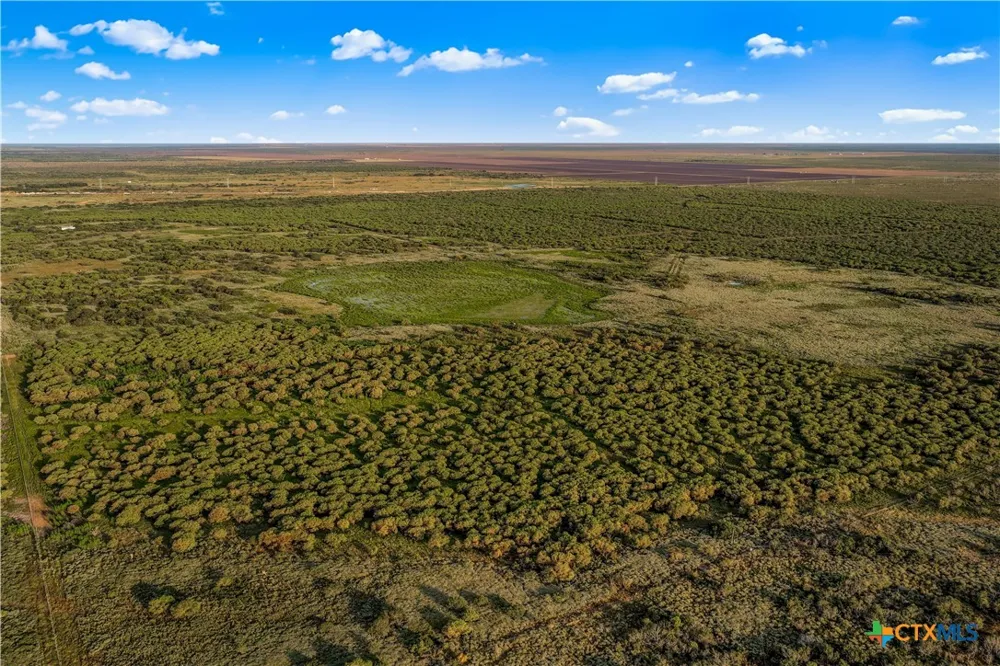 FM 239 Tivoli, TX 77990