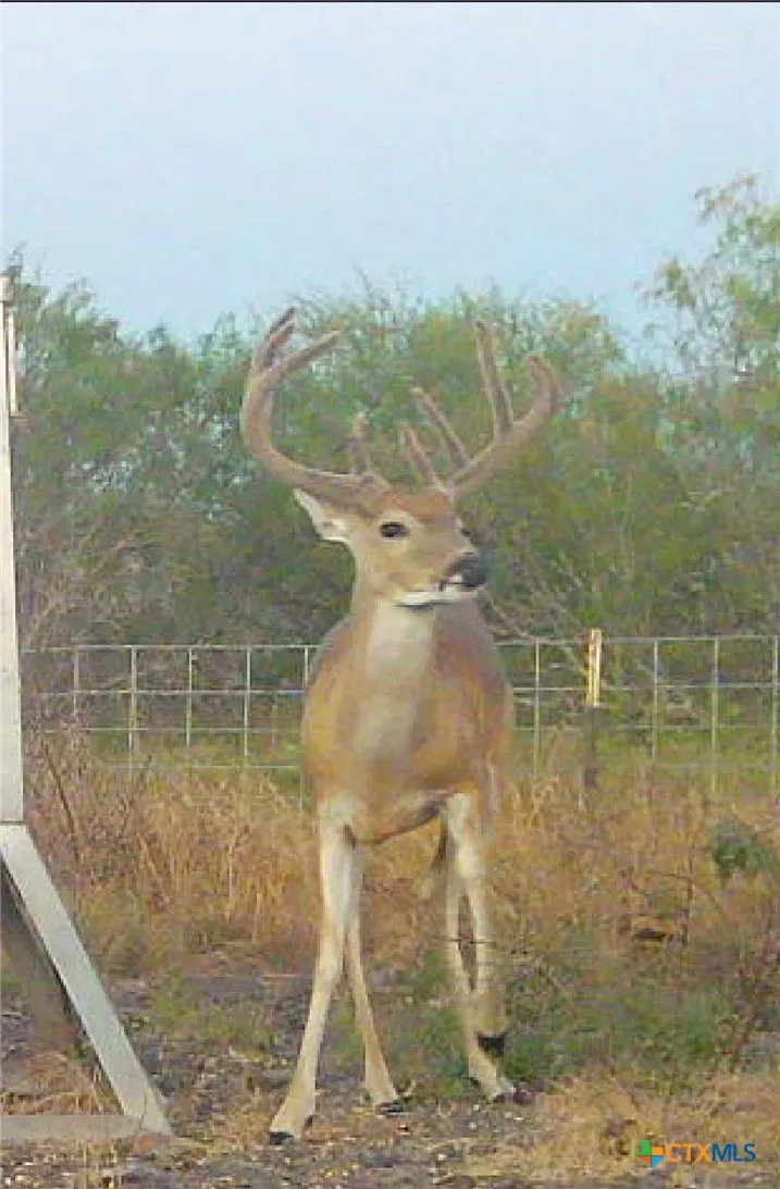 FM 239 Tivoli, TX 77990
