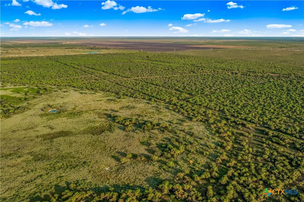 FM 239 Tivoli, TX 77990