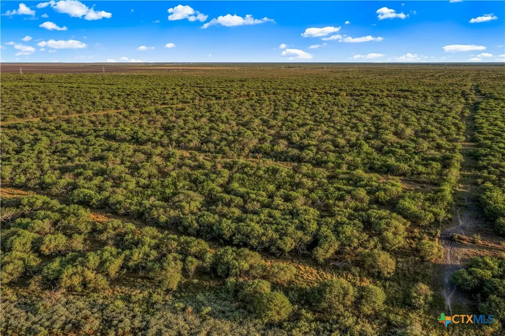 FM 239 Tivoli, TX 77990