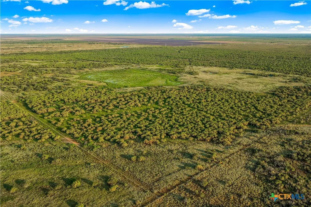 FM 239 Tivoli, TX 77990