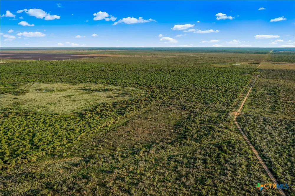 FM 239 Tivoli, TX 77990