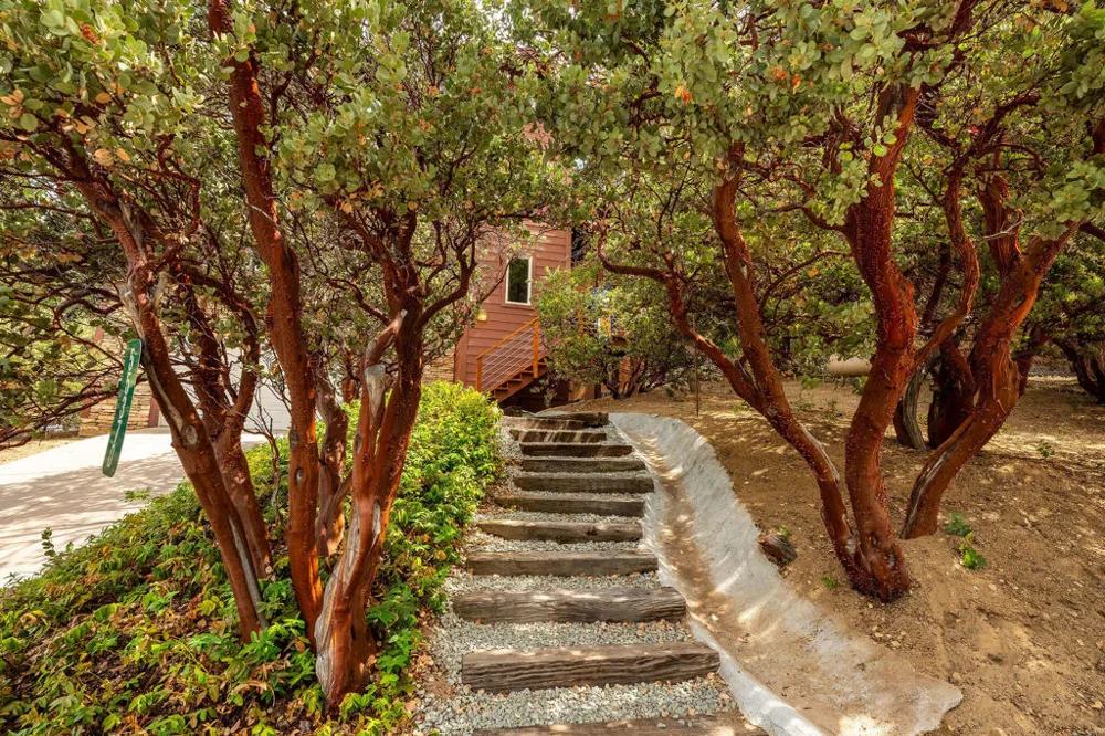 55370 Silver Tip Lane Idyllwild, CA 92549