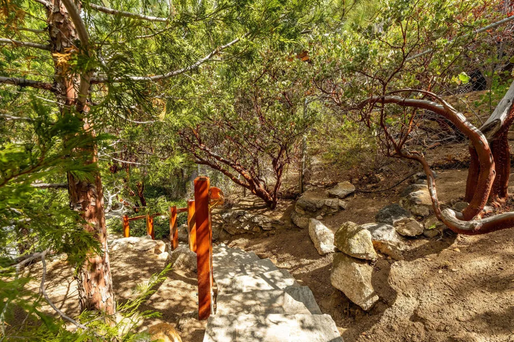 55370 Silver Tip Lane Idyllwild, CA 92549