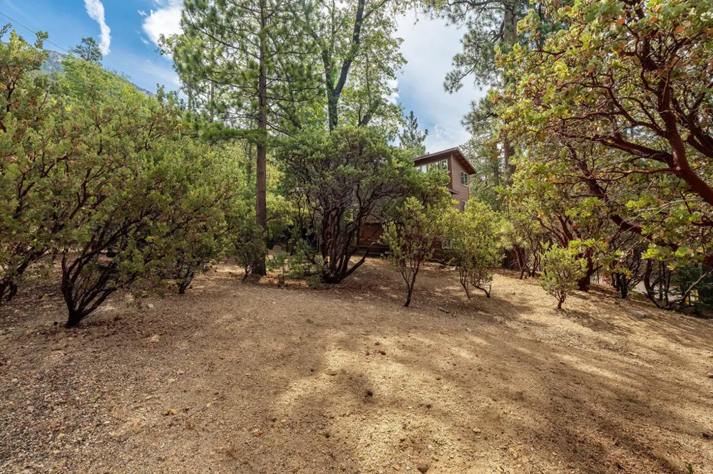 55370 Silver Tip Lane Idyllwild, CA 92549