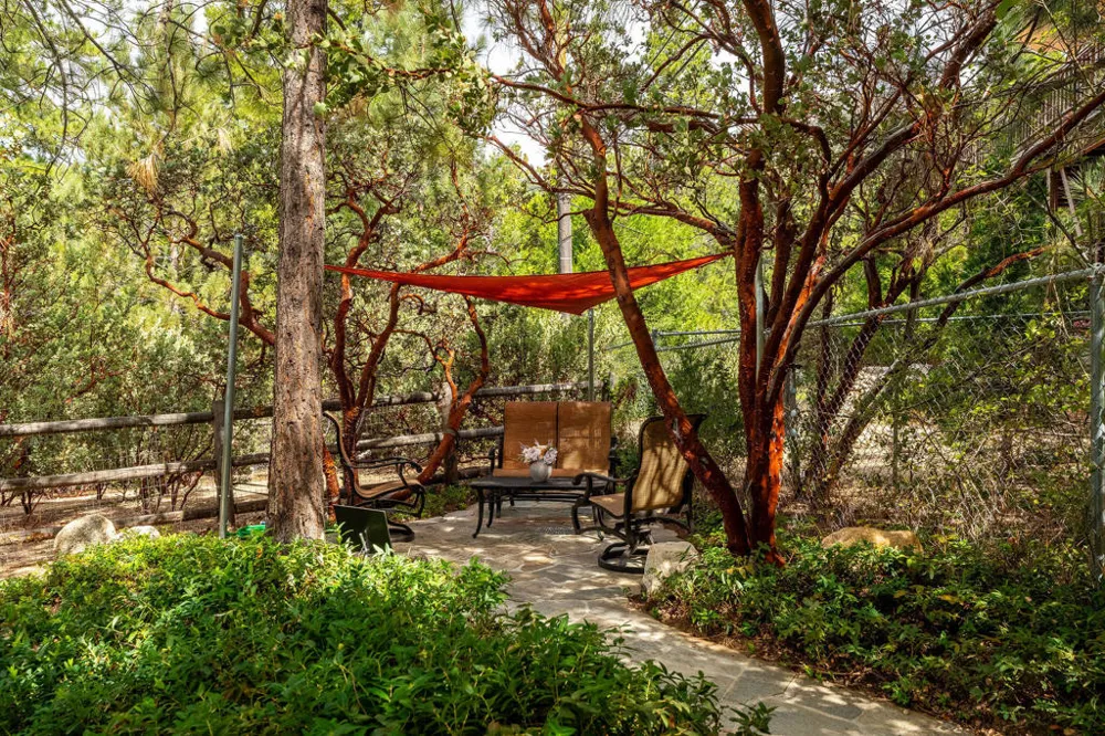 55370 Silver Tip Lane Idyllwild, CA 92549