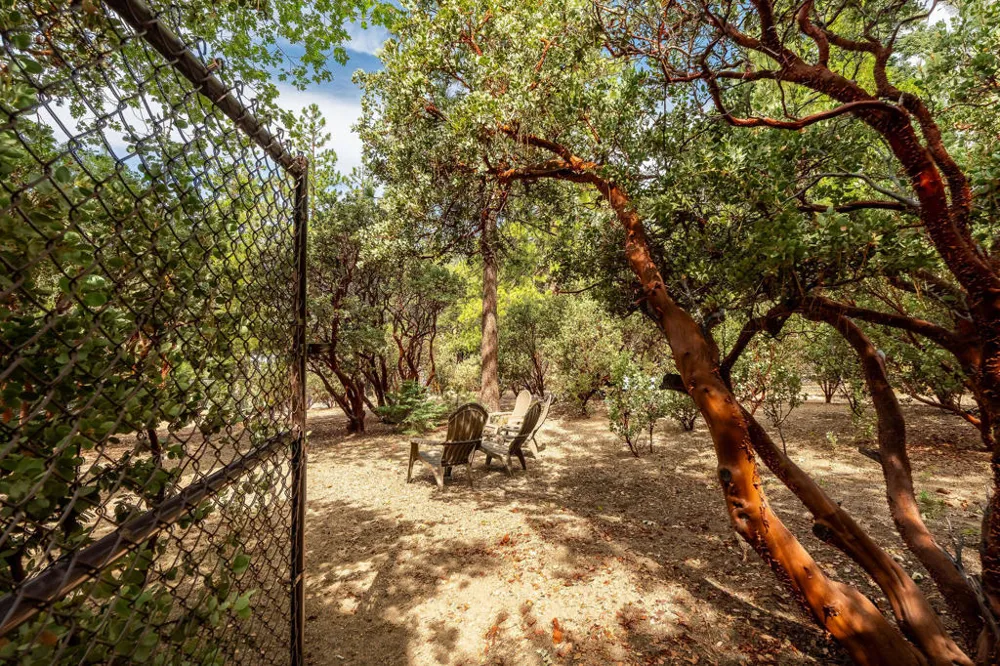 55370 Silver Tip Lane Idyllwild, CA 92549