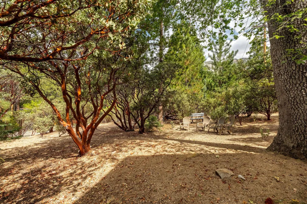 55370 Silver Tip Lane Idyllwild, CA 92549