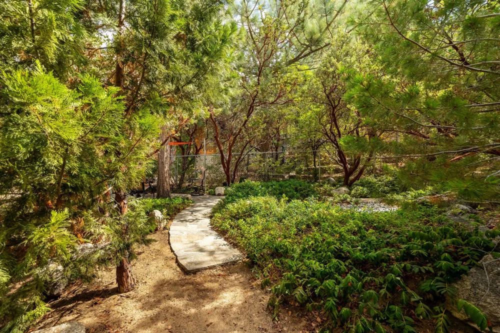 55370 Silver Tip Lane Idyllwild, CA 92549