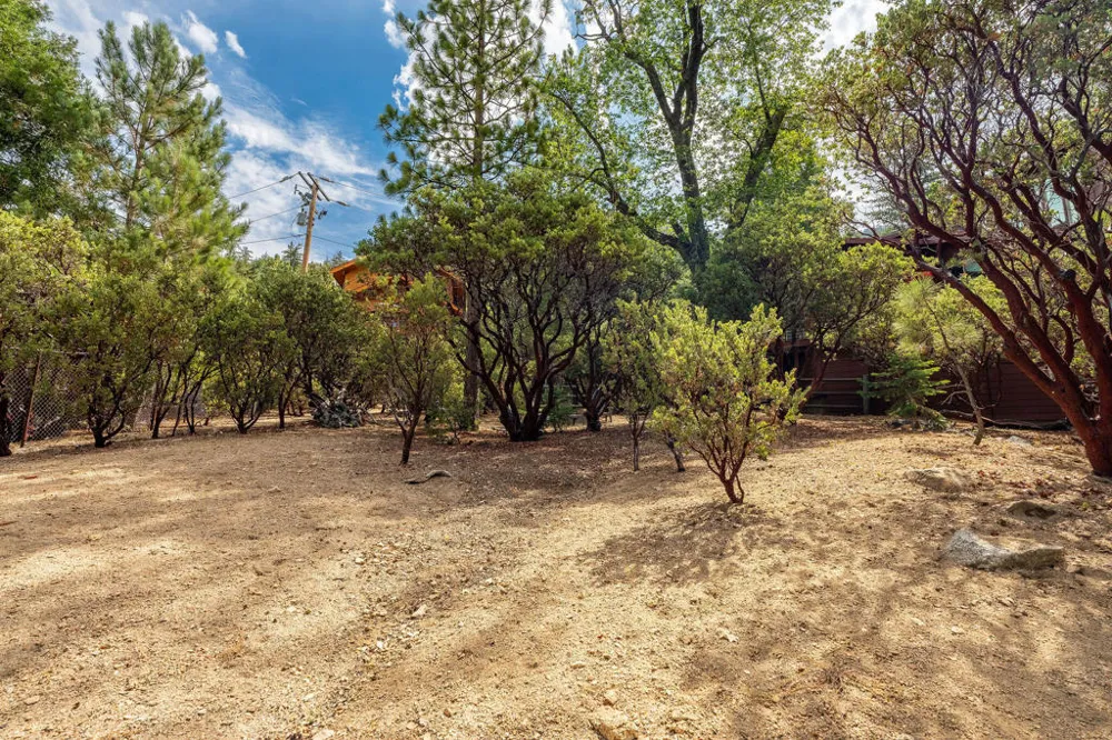 55370 Silver Tip Lane Idyllwild, CA 92549