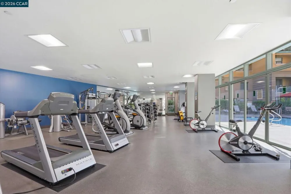 144 S 3rd Street #524 San Jose, CA 95112