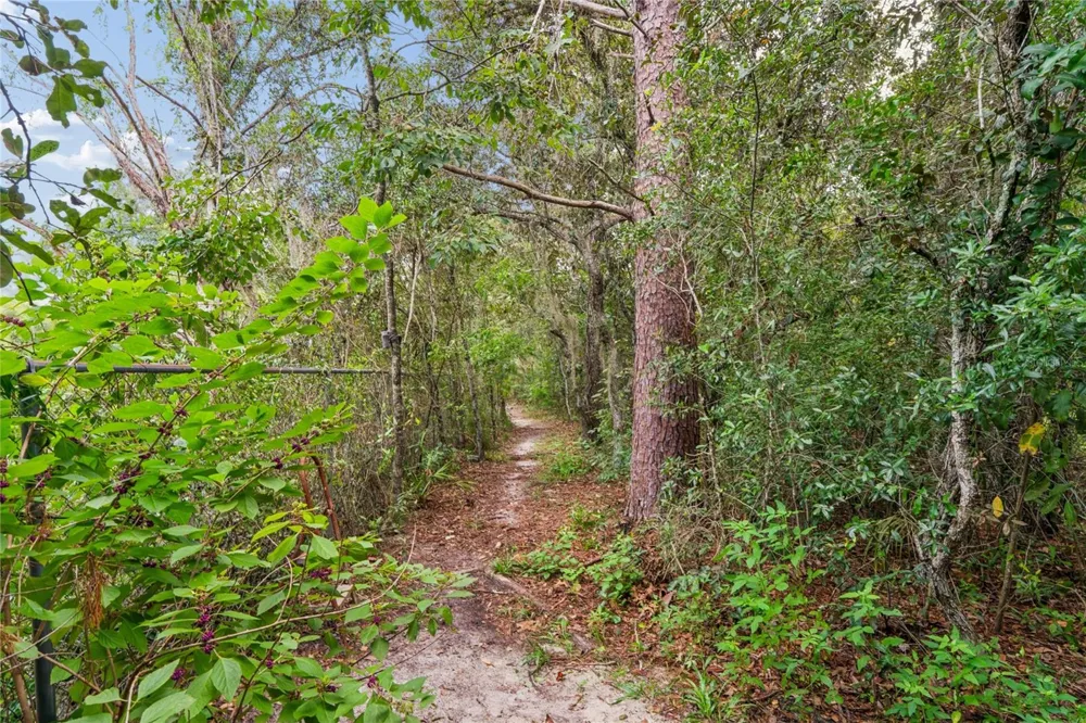 10447 GRANNING LANE New Port Richey, FL 34654