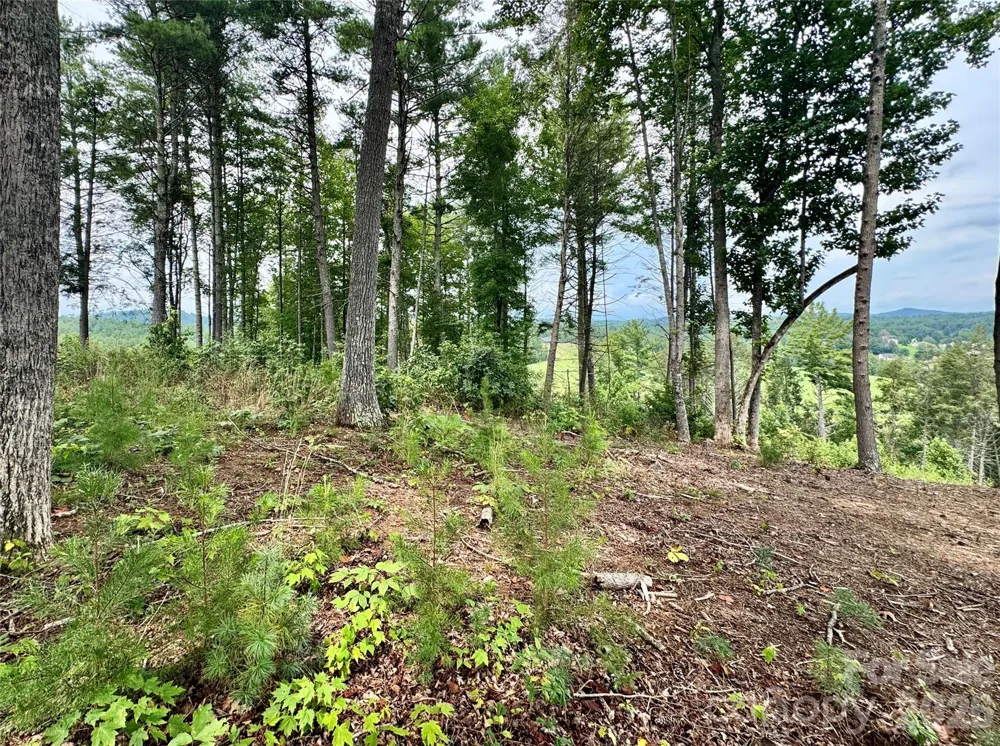 2070 Thoroughbred Way #G18 Lenoir, NC 28645