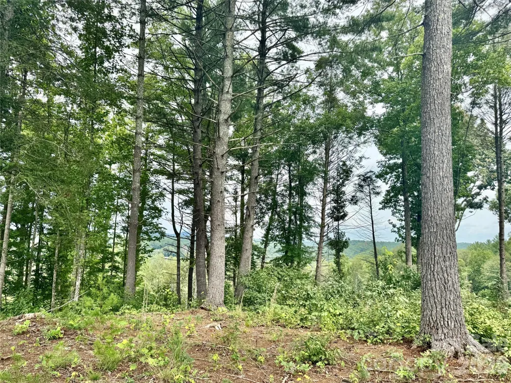2070 Thoroughbred Way #G18 Lenoir, NC 28645