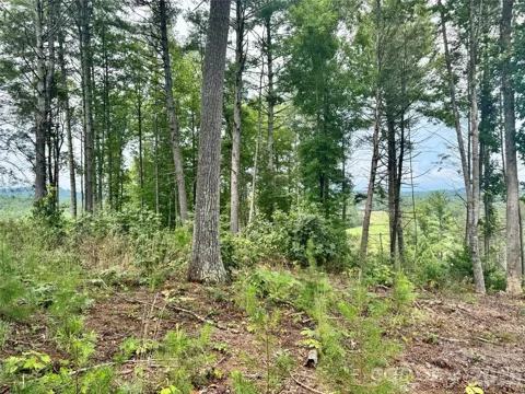 Lot G18, 2070 Thoroughbred Way #G18