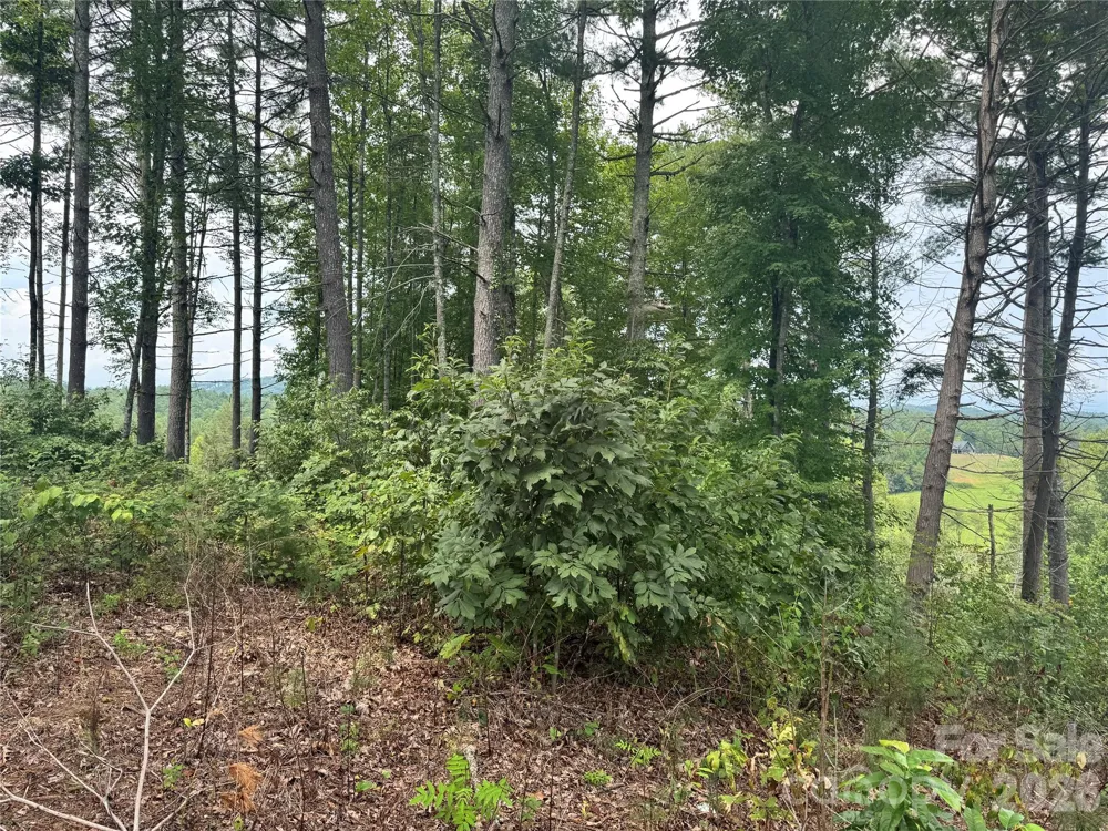 2070 Thoroughbred Way #G18 Lenoir, NC 28645