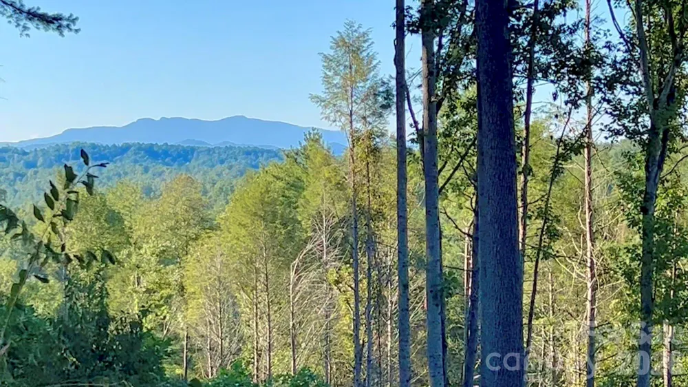 2070 Thoroughbred Way #G18 Lenoir, NC 28645
