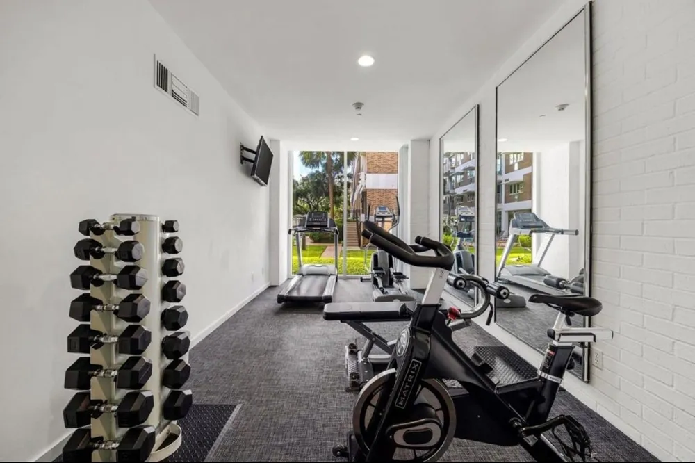 3600 Montrose Boulevard #1209 Houston, TX 77006