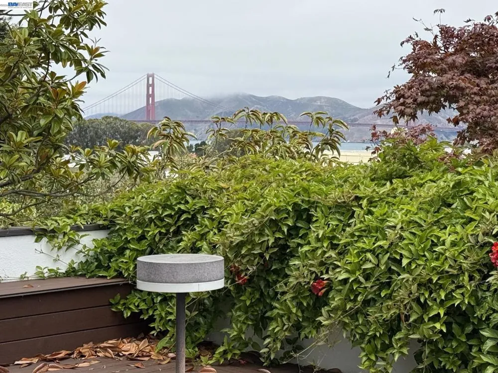 3001 Divisadero Street San Francisco, CA 94123