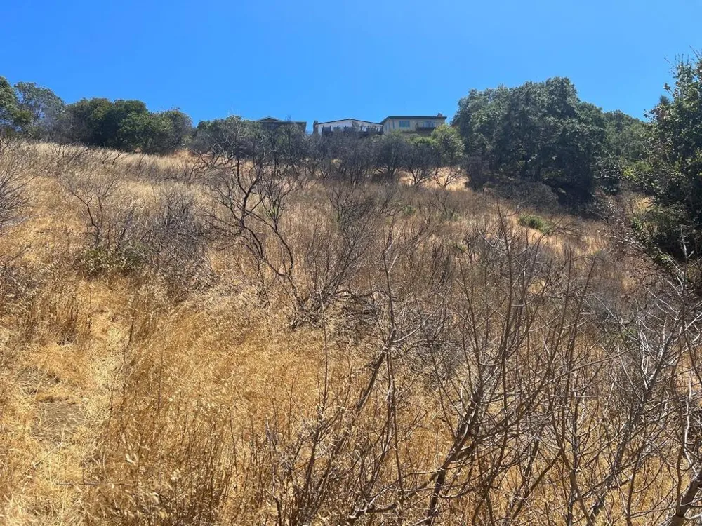 2928 Alhambra Drive Belmont, CA 94002