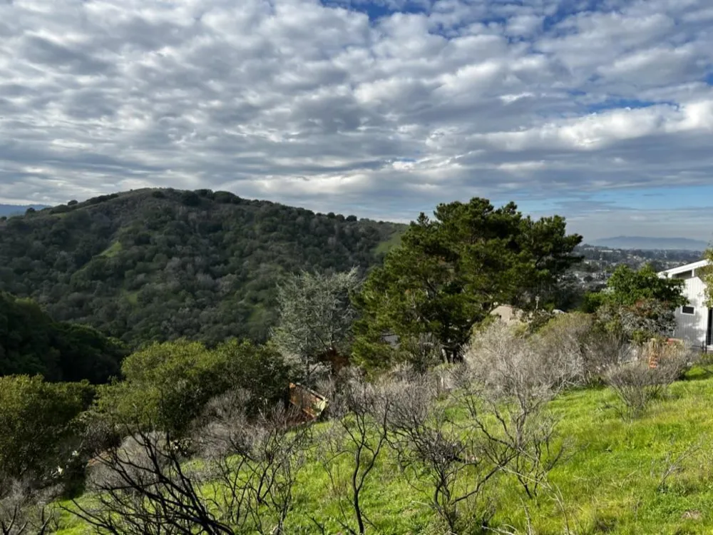 2928 Alhambra Drive Belmont, CA 94002