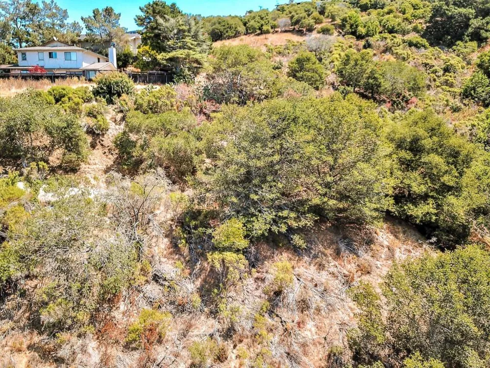 2928 Alhambra Drive Belmont, CA 94002