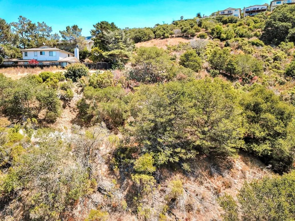 2928 Alhambra Drive Belmont, CA 94002